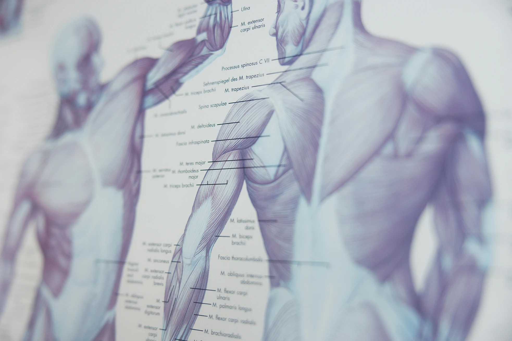 Heilmassage bei Physita